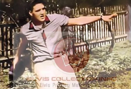 WM ARMY right arm full extended ready throw dart football